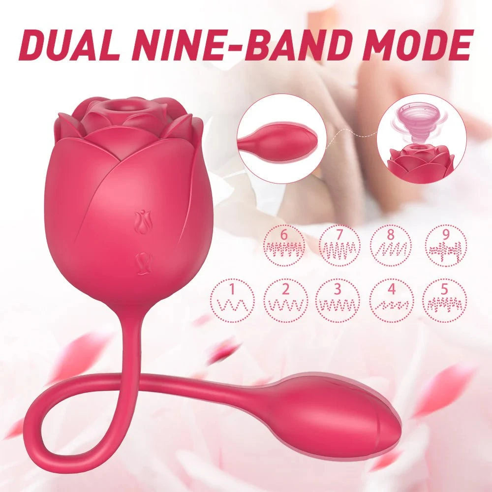 2-in-1 clitoral suction stimulator with egg vibrator featuring dual nine-band mode and rose design.