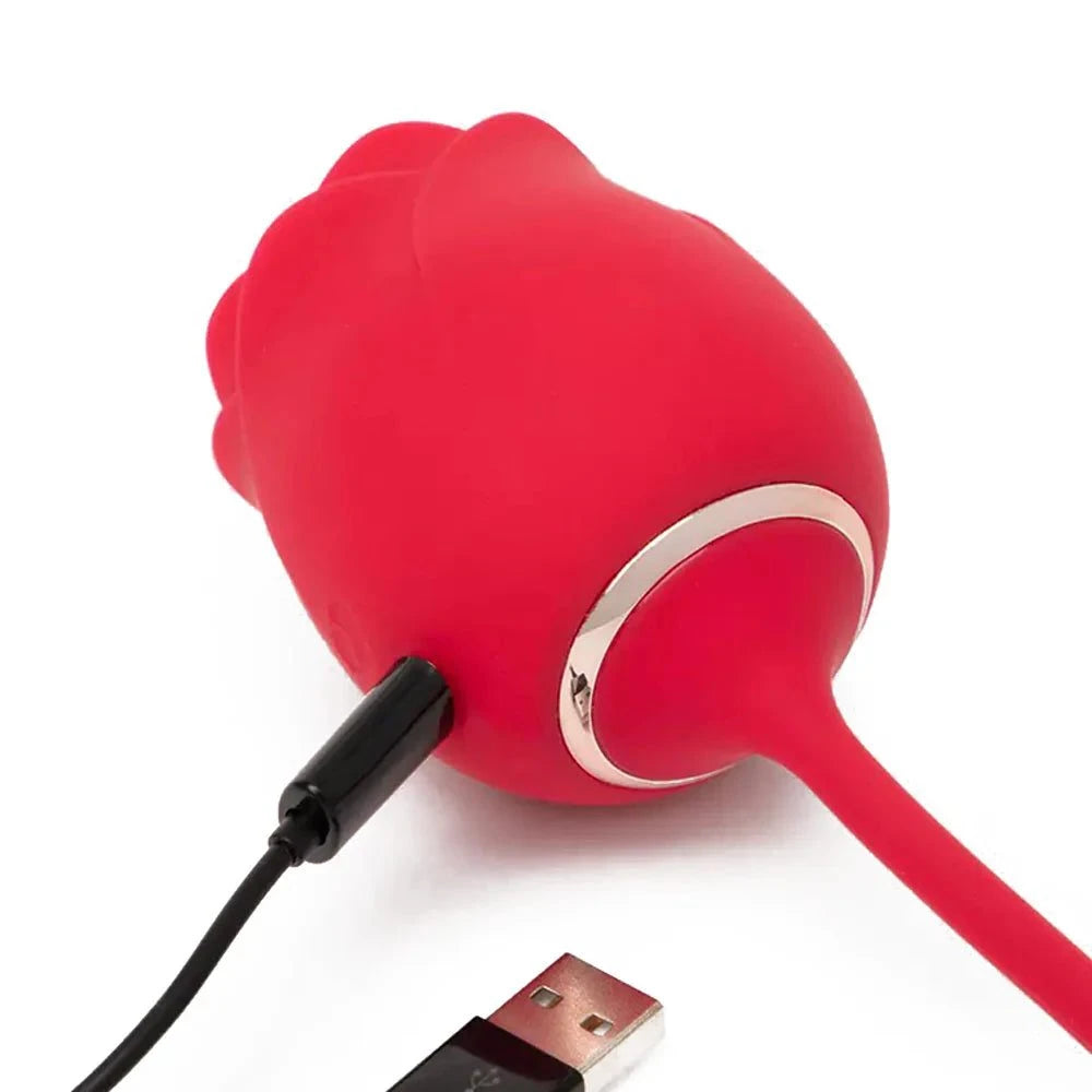 2-in-1 clitoral suction stimulator and egg vibrator in red, USB charging.