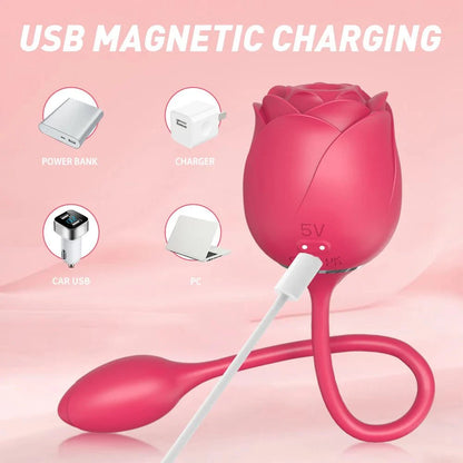 2-in-1 Clitoral Suction Stimulator with Egg Vibrator, USB magnetic charging.