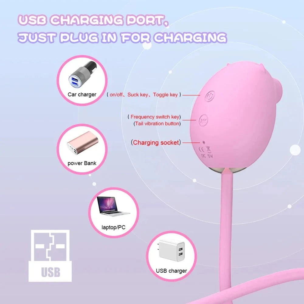 USB charging options for 2-in-1 Peppy Pig clitoral suction and thrusting vibrator.